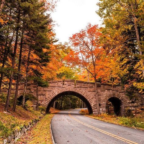 Friday Feels Fall Foliage Road Trips, Maine In The Fall, Maine Road Trip, Best Island Vacation, Acadia National Park, Fall Travel, Fall Pictures, Island Vacation, Scenic Drive