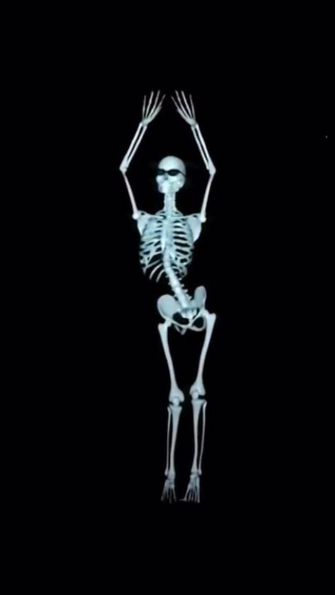 Skeleton dance in 2022 | Pretty songs, Feel good videos, Life is strange wallpaper Skull Stim Gif, Skeleton Flipping Off Wallpaper, Wallpaper Backgrounds Skeleton, Skeleton Wearing Headphones, Disturbing Wallpaper, Skeleton Video, Skeleton Pfp, Wallpaper Skeleton, Skeletons Wallpaper Aesthetic