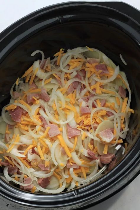 Potato Ham Casserole, Crockpot Ham And Potatoes, Cheesy Potatoes Crock Pot, Ham And Potato Casserole, Crock Pot Potatoes, Ham Potato, Crockpot Ham, Ham Casserole, Leftover Ham Recipes