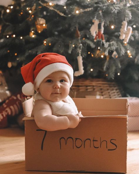 25+ *Ridiculously Cute* Baby's First Christmas Photo Ideas (2022) First Christmas Photo Ideas, Christmas Baby Photoshoot, Baby Photo Shoot Ideas, Creative Picture Ideas, Christmas Photo Ideas, Christmas Baby Pictures, Baby Photo Shoot, Baby Christmas Photos, First Christmas Photos