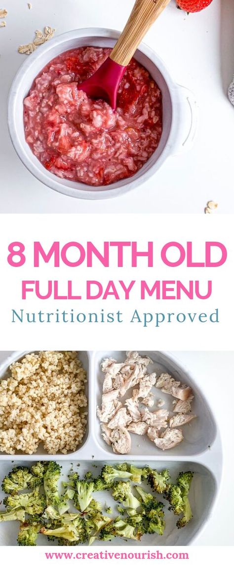 7 Month Old Baby Food, 8 Month Old Baby Food, 7 Months Baby Food, Baby Food Recipes Stage 1, Baby Meal Plan, Baby Food 8 Months, Baby Food Schedule, Easy Homemade Baby Food, 6 Month Baby Food