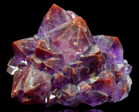 Lovely purple Amethyst with reddish highlights due to Hematite inclusions. Reddish Highlights, Diamond Willow, Auralite 23, Minerals Crystals Rocks, Thunder Bay, Rare Gems, Mineral Stone, Minerals And Gemstones, Rocks And Gems