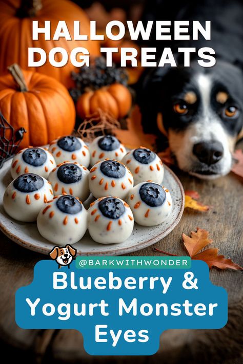 Make these Homemade Blueberry & Yogurt Monster Eyes for your dog this Halloween! A nutritious and spooky treat that’s easy to make. #barkwithwonder #homemadedogtreats #homemadedogfood #halloweendogtreats #healthytreats #dogrecipes Halloween Dog Treats, Dog Treats Homemade, Pet Treats Recipes, Blueberry Yogurt, Easy Dog Treat Recipes, Dog Treats Homemade Easy, Pumpkin Delight, Healthy Halloween Treats, Easy Dog Treats