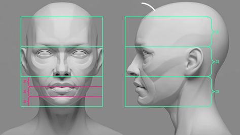 3d Head Reference, Head Sculpture Reference, Female Face Proportions, Female Head Anatomy, Female Head Reference, Head Shading, Sculpt Face, Face Topology, Zbrush Anatomy