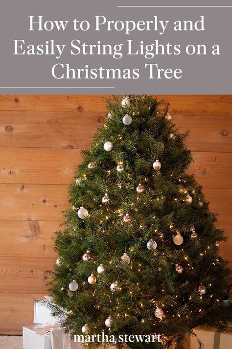 Follow these Christmas tree decorating tips to ensure the best and safest way to apply Christmas lights on your holiday tree this year. Plus, why wrapping the lights around your tree a certain way will help you easily remove them once the holiday ends. #christmas #holidayideas #christmasideas #wintertodo #marthastewart Christmas Tree White Lights Simple, Stringing Lights On A Tree, Best Way To Light A Christmas Tree, How To Wrap Christmas Lights Around Tree, Lighting Christmas Tree, Fill Holes In Christmas Tree, Best Lights For Christmas Tree, Stringing Lights On A Christmas Tree, Globe Lights On Christmas Tree