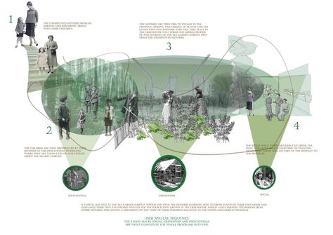 Programmatic Collage depicting the main spaces in the urban landscape and the users within it. Tea garden habitat, educational, greenhouse and social spaces. By Fatima Ali, CSM student, 3RD yr undergad work. Urban Landscape Architecture, House Garden Landscape, Landscape Diagram, Site Analysis Architecture, Collage Architecture, Landscape Architecture Graphics, Urban Garden Design, Presentation Board Design, Urban Analysis