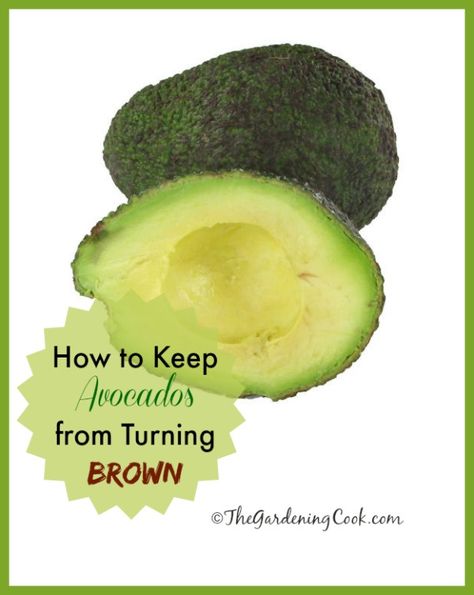 Avocado Storage, Avocado Pit, Avocado Dessert, How To Cut Avocado, Avocado Health Benefits, Breakfast And Brunch, Avocado Recipes, Healthy Nutrition, Baking Tips