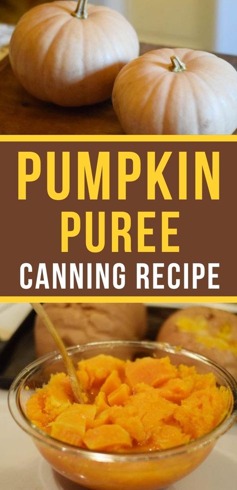 Freezing Fresh Pumpkin Puree, How To Pressure Can Pumpkin Puree, Pumpkin Pie Filling Canning Recipe, Diy Canned Pumpkin Puree, Fresh Pumpkin Pie Filling, Canning Pie Pumpkins, Cooking Pumpkins For Pie, Homemade Canned Pumpkin, Fresh Pumpkin Butter Recipe Canning