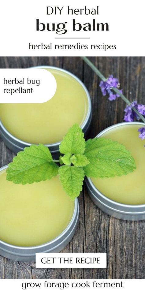 DIY Herbal No Bug Balm (with Lemon Balm): You're going to love this herbal bug repellant! It's made with natural herbs and will keep the mosquitos away. Similar to DIY herbal bug spray, this herbal bug salve is soothing to the skin, is a homemade mosquito repellent made with plants! You'll want this herbal remedy on hand this summer! Homemade Salve, Herbal Remedies Recipes, Salve Recipes, Herbal Salves, Herbs And Flowers, Herbal Recipes, Natural Healing Remedies, Herbal Healing, Diy Remedies