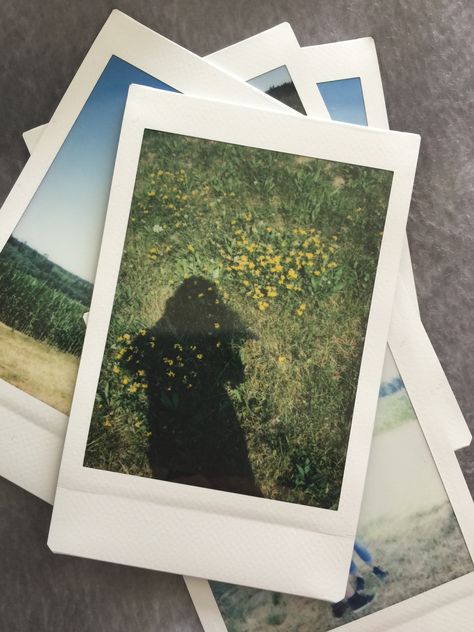 Willow Park Aesthetic, Willow Park The Owl House, Polaroid Camera Instax, Taylor Swift Evermore, Camera Polaroid, Aesthetic Polaroid, Park Aesthetic, Polaroid Picture, Polaroid Photography