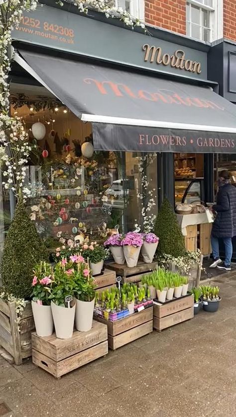 Hartley Wintney Flower Shop [Video] | Flower shop decor, Flower shop display, Flower shop design Florist Shop Interior Aesthetic, Interior Design Flower Shop, Coffee And Flower Shop Interiors, Flower Shop Entrance, Flower Shop Decor Interiors, Floral Shop Design, Bakery And Flower Shop, Small Flower Shop Design, Opening A Flower Shop