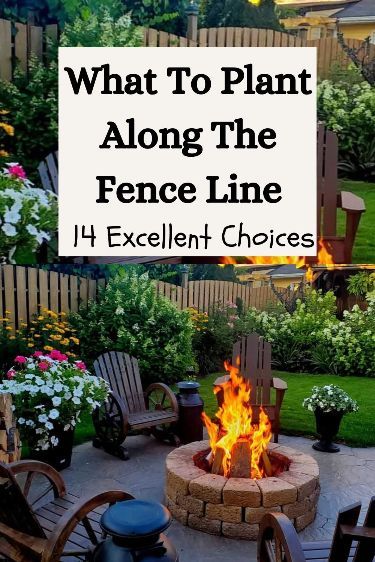 Looking to add some color to your yard? Discover the best plants and flowers to plant along the fence line that will bring vibrancy and beauty to your outdoor space. Read on for inspiration and tips on how to enhance your landscape. Flowers To Plant, Small Yard Landscaping, Backyard Garden Landscape, Best Plants, Home Landscaping, Garden Yard Ideas, Backyard Garden Design, Plants And Flowers, Backyard Makeover