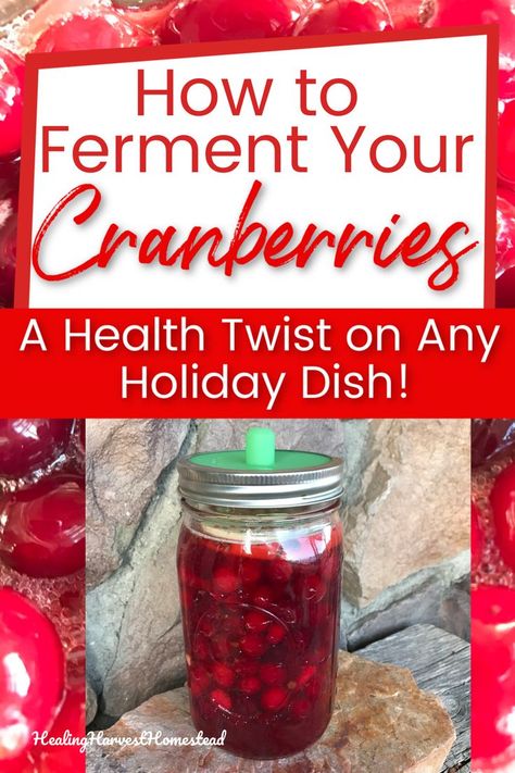 Here's how I fermented my cranberries, how they turned out (delish!), and also how I used these red beauties. You’ll love this easy, unique, healthy recipe for using your cranberries in a ferment! #fermentedcranberryrecipe #howtoferment #healingharvesthomestead Fermented Cranberries, Fermentation Recipes, Health Articles Wellness, Health And Wellness Quotes, Cranberry Recipes, Emergency Food, Outdoor Food, Life Journey, Food Preservation