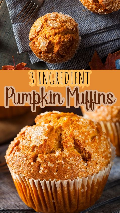 Looking for the perfect fall recipe? These Pumpkin Spice Cake Mix Muffins, a simple 3 ingredient pumpkin muffin recipe, will satiate your autumn appetite with a blend of comforting flavors. Using box cake mix, these make the perfect breakfast or brunch recipe. They even make a delicious fall dessert! Spice Cake Mix Muffins, 3 Ingredient Pumpkin Muffins, Pumpkin Spice Cake Mix, Pumpkin Cake Mix Muffins, Spice Cake Mix Recipes, 3 Ingredient Pumpkin, 2 Ingredient Pumpkin Muffins, Pumpkin Cake Mix, Pumpkin Muffins Recipe