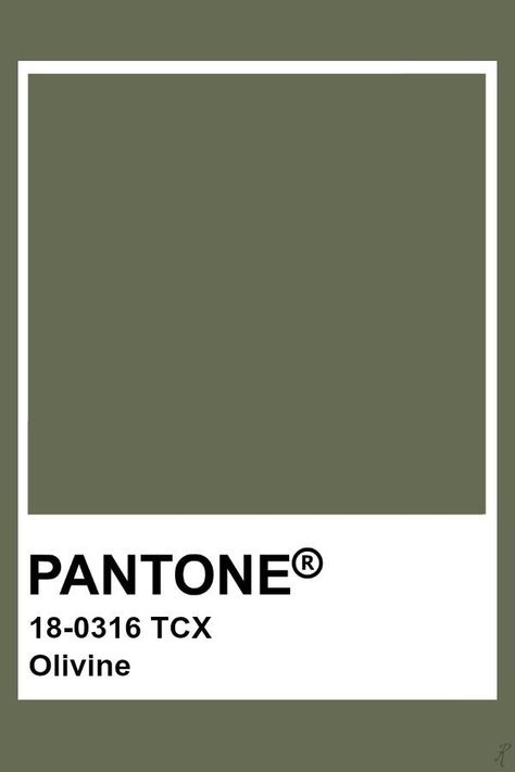 Pantone Olive Green, Petrichor Candle, Olive Pantone, Pantone Green, Pantone Tcx, Pantone Color Chart, Pantone Swatches, Loden Green, Pantone Palette