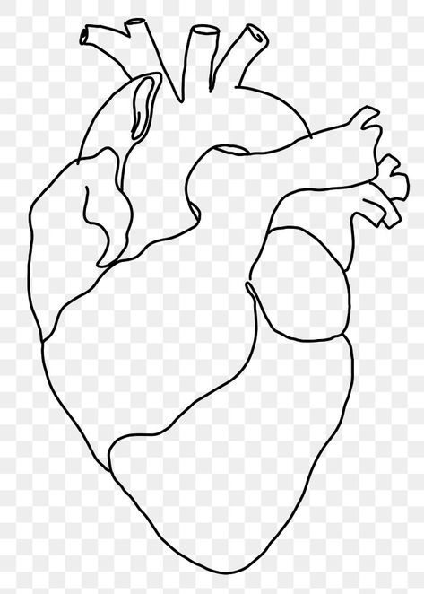 Human Heart Doodle, Human Heart Line Art, Human Heart Embroidery, Clip Art Heart, Human Heart Drawing Aesthetic, Human Outline Drawing, Human Heart Drawing Easy, Heart Drawing Wallpaper, Human Heart Png