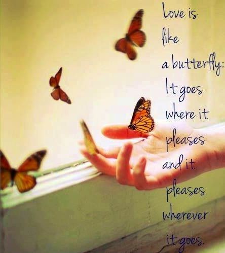 Butterfly quote #butterflies #quotes #transition #survivor #breastcancer #cancersurvivor #infertility www.mybutterflytestimony.com Butterfly Love Quotes, Butterfly Thoughts, Butterfly Sayings, Butterfly Stuff, Legacy Quotes, Butterfly Quotes, Like A Butterfly, Go For It Quotes