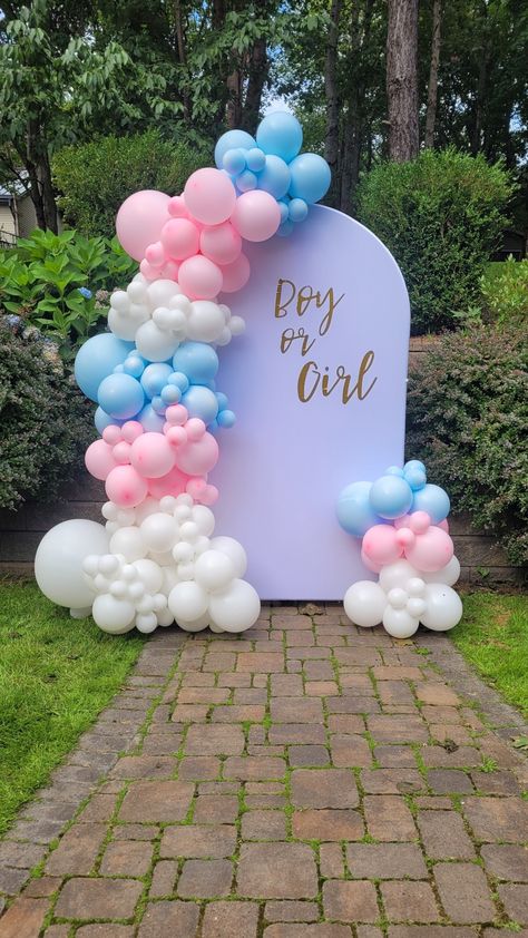 Baby gender reveal! Simple Gender Reveal Balloon Garland, Balloon Decorations Gender Reveal, Gender Reveal Balloon Backdrop, Gender Reveal Party Set Up, Easy Gender Reveal Decorations, Gender Reveal Ideas For Party Simple, Gender Reveal Party Checklist, Boy Or Girl Decoracion, Gender Reveal Balloons Decorations