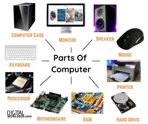 The computer is one of the most versatile and beneficial inventions for mankind. Its enormous capacity to process data makes it a fundamental part of the development of the world. There are some basic parts of computer that make possible to process and complete the task at extraordinary speed. Parts Of Computer, Computer Lab Classroom, Psychology Blog, Computer Notes, What Is Computer, Computer Projects, Computer Basic, Computer History, Cool Tech Gadgets Electronics