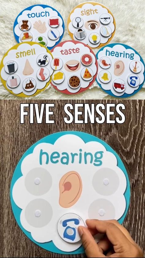 Five senses sorting Activity | Toddler learning activities, Kindergarten activities, Preschool activities Learning Activities Kindergarten, Senses Sorting Activity, Learning Activities Preschool, Senses Preschool, Senses Activities, Activities Kindergarten, Small Basement, Kindergarten Learning Activities, Baby Learning Activities