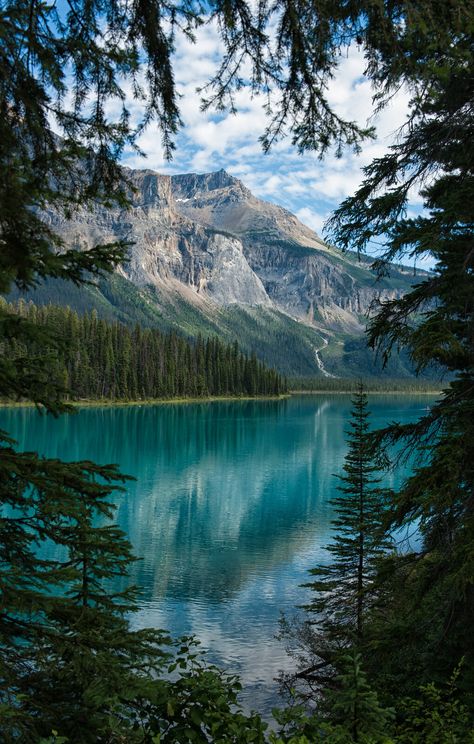 All sizes | A Peek of Emerald Lake | Flickr - Photo Sharing! Yoho National Park Canada, Yoho National Park, Canada National Parks, Emerald Lake, Lake Lodge, Alam Yang Indah, Pretty Places, Amazing Nature, Belize