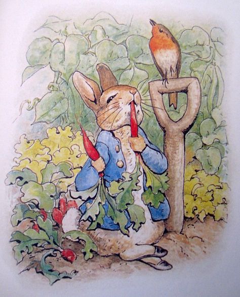 Peter Rabbit Illustration, Beatrix Potter Illustrations, Beatrice Potter, Peter Rabbit And Friends, 동화 삽화, Benjamin Bunny, Rabbit Illustration, Marjolein Bastin, Fantasy Magic