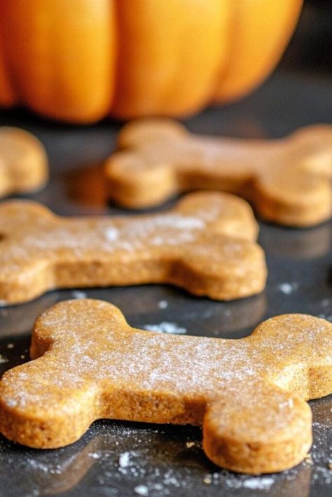 Homemade Pumpkin Dog Treat Recipe That Get Tails Wagging Pumpkin Baked Dog Treats, Pumpkin Oat Flour Dog Treats, Pumpkin And Carrot Dog Treats, Simple Pumpkin Dog Treats, Puppy Pumpkin Treats, Homemade Dog Treats Peanut Butter Pumpkin, Pumpkin Coconut Dog Treats, Diy Dog Biscuits Healthy, Pumpkin Grain Free Dog Treats