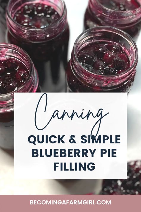 Vanilla Pie Filling, Blueberry Pie Filling Recipes, Berry Pie Filling, Cherry Pie Filling Recipes, Fresh Blueberry Pie, Homemade Blueberry Pie, Blueberry Jam Recipe, Huckleberry Pie, Canned Blueberries