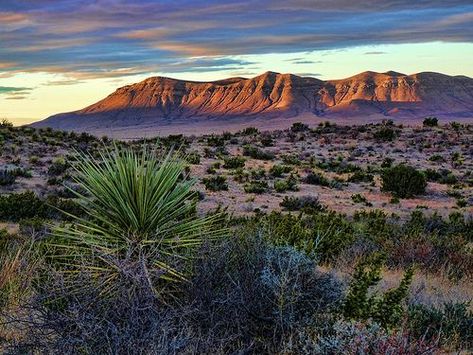 West Texas Landscape West Texas Landscape, Texas Scenery, Texas Landscape, Texas Sunset, Texas Photo, Texas Photography, Texas Art, West Texas, Texas Travel