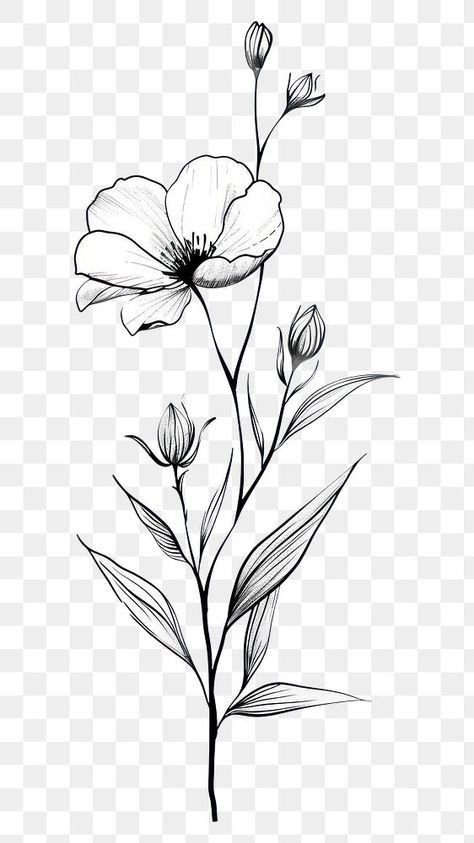 Hand Drawn Flowers Illustration, Wildflower Line Drawing, Wildflower Black And White, Wildflowers Drawing, Small Flower Drawings, Line Drawing Flowers, Wild Flower Design, Aesthetic Pngs, Art Topics