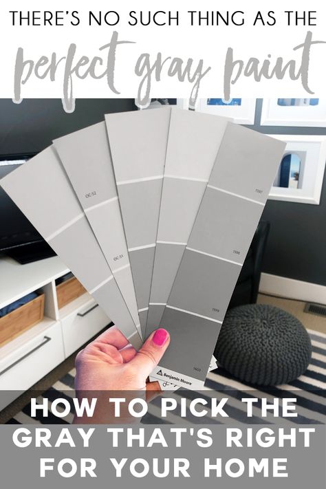 Best Gray Paint Colors, Bedroom Paint Colors Grey, Perfect Grey Paint Color, Shades Of Grey Paint, Perfect Grey Paint, Best Gray Paint, Best Gray Paint Color, Light Grey Paint Colors, Gray Paint Colors