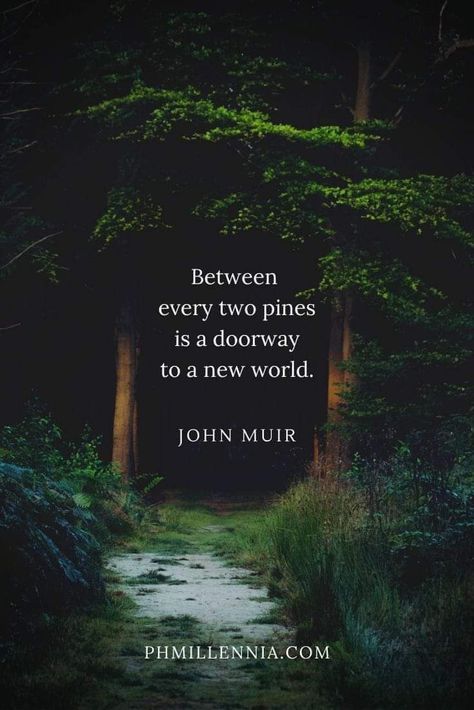 Take Me To The Woods Quotes, Magic Forest Quotes, Lake Quotes Inspirational, Quotes About The Woods, Quotes About Forest, Beautiful World Quotes, In The Woods Quotes, New World Quotes, The Woods Quotes