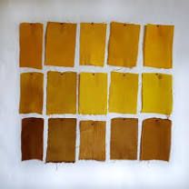 Turmeric Dye with Different Mordants Turmeric Dye, Eco Dyeing Fabric, Tinta Natural, Natural Dye Fabric, Rit Dye, Eco Dyeing, Botanical Dyeing, Eco Printing, Plant Dyes