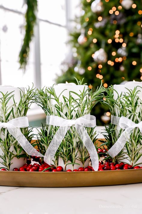 DIY Rosemary Candle Centerpiece Rosemary Candle, Rosemary Candles, Candle Hack, Christmas Colour Schemes, Candle Centerpiece, Christmas Decorations Cheap, Festive Centerpieces, Navidad Diy, Fresh Cranberries