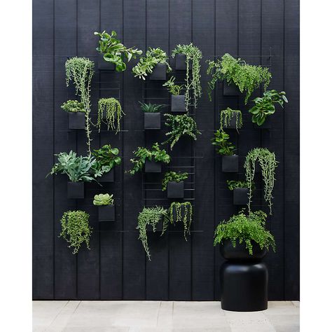 Plant wall diy