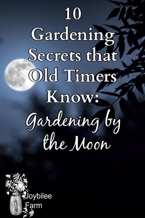 Witches Garden Design, Moon Garden Ideas Backyards, Moon Garden At Night, Witch Garden Design, Enchanted Garden Backyard, Moon Garden Ideas, Magical Garden Ideas, Moon Gardening, Gardening By The Moon