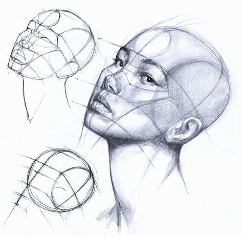 Human Anatomy Drawing, Drawing Heads, Human Anatomy Art, Portraiture Drawing, Anatomy Sketches, Anatomy Drawing, Art Practice, Drawing Skills, Anatomy Art