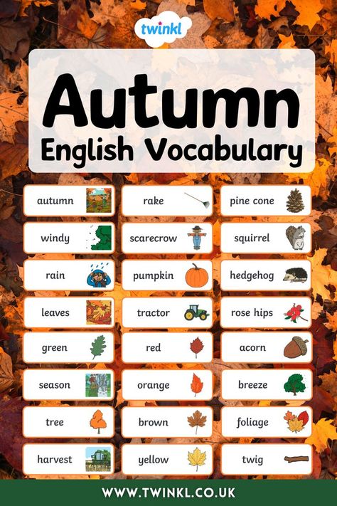 Autumn English Vocabulary Cards Autumn Words, Fall Vocabulary, English Collocations, Esl Teaching Resources, Teaching Vocabulary, Vocabulary Lessons, Halloween Words, English Activities, English Tips