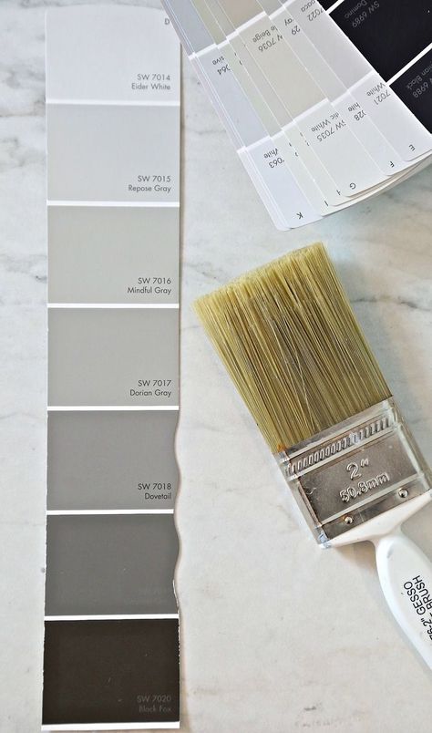 Sherwin Williams Repose Gray and Mindful Gray. Gauntlet Gray Accent Wall, Dark Gray Accent Wall Living Room, Gray Accent Wall Living Room, Gray Accent Wall, Sherwin Williams Repose Gray, Mindful Gray Sherwin Williams, Warm Grey Paint Colors, Repose Gray Sherwin Williams, Warm Gray Paint