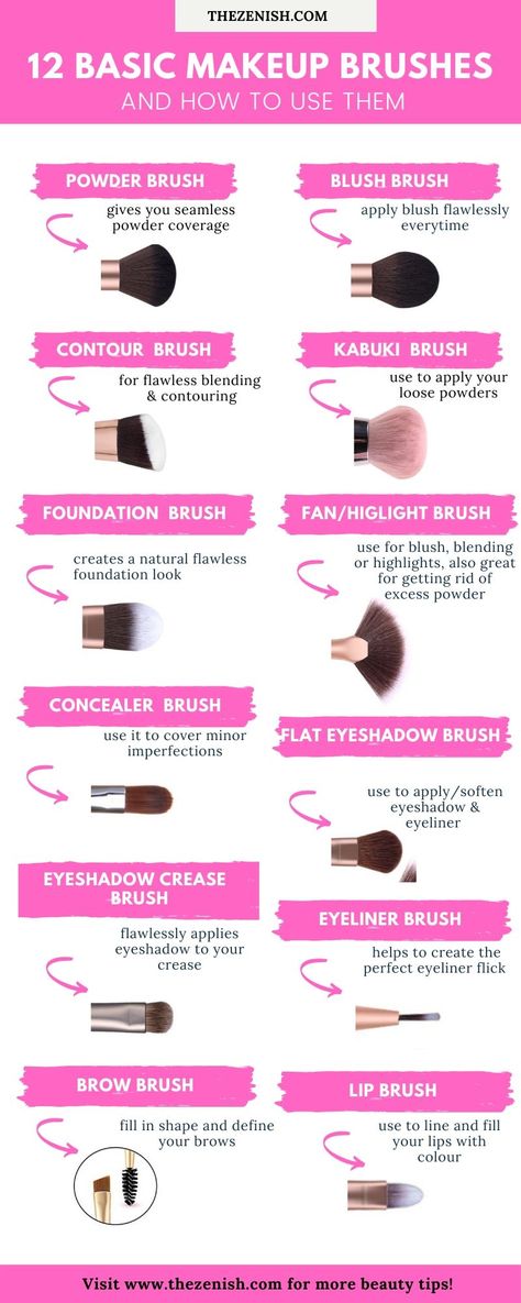 12 Types of Makeup Brushes and Their Uses | The Zenish Makeup Brushes And Their Uses, Eye Makeup Brushes Guide, Brushes And Their Uses, Different Types Of Makeup, Makeup Types, Types Of Makeup Brushes, Makeup Brush Uses, 15 Makeup, Makeup Order