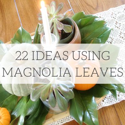 Magnolia Leaves Table Decor, Dried Magnolia Leaves Decor, Wedding Decor With Magnolia Leaves, Magnolia Leaf Decor, Decorate With Magnolia Leaves, Magnolia Leaves In Floral Arrangements, Flower Arrangements With Magnolia Leaves, Magnolia Leaf Crafts, Crafts Using Magnolia Pods