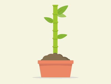 Growing Plant Illustration, Plant Growing Animation, Plant Animation, Moving Illustration, Plant Presentation, Svg Animation, Animated Infographic, Growing Ginger, Tree Growth