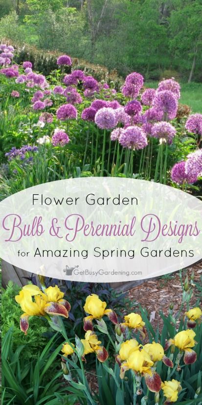 You can add bulbs to an existing perennial bed for amazing spring color, and alliums might be the perfect flower garden bulb. These designs will help! Bulbs Garden Design, Spring Bulbs Garden, Spring Gardens, Perennial Bulbs, Backyard Garden Layout, Spring Garden Flowers, Garden Spring, Flower Garden Design, Genius Ideas