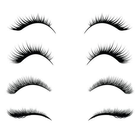 Best lashes