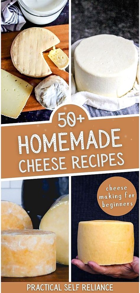 Discover the joy of homemade cheese with our collection of over 50 recipes, perfect for beginners in cheesemaking. From the basics of cheddar to the nuances of colby, these easy-to-follow recipes will guide you through the process, making the art of cheesemaking accessible and enjoyable. Find more easy whole food recipes, DIY homestead projects, and homestead survival at practicalselfreliance.com. Sharp Cheese Recipes, Diy Parmesan Cheese, Make Cheese From Milk, Make Your Own Mozzarella Cheese, Diy Cheese Press, Soft Cheese Recipes, Motzerrela Cheese, How To Make Mozzarella Cheese, Diy Mozzarella Cheese