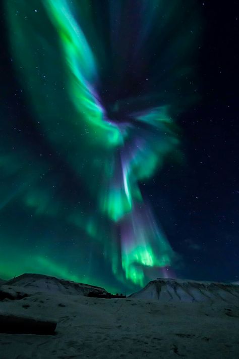 Svalbard Norway, Northern Lights Photography, Whats Wallpaper, Longyearbyen, I Want To Travel, The Night Sky, Travel Goals, Pretty Places, Dream Destinations