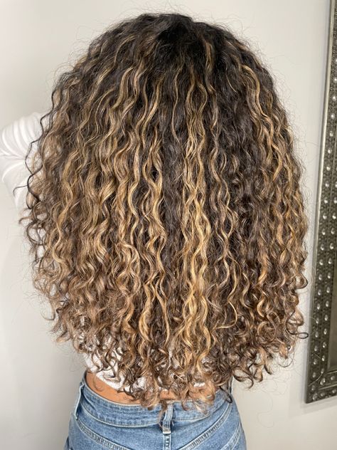 Blonde Curly Hair With Money Piece, Ash Blonde Highlights On Dark Hair Curls, Curly Hair Highlights With Money Piece, Curly Dark Brown Hair With Highlights Low Lights, Peak A Boo Highlights Curly Hair, Balayage Hair Curly Caramel Highlights, Blond Highlights On Black Hair Curly Girl, Blonde Highlights On Dark Hair Curly Black Women, Color Hair Ideas For Curly Hair