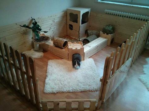 Great House Bunny Setup Tapsi Hapsi, Rabbit Playground, Indoor Rabbit House, Rabbit Pen, Diy Guinea Pig Cage, Cage Hamster, Rabbit Enclosure, Rabbit Habitat, Bunny Room