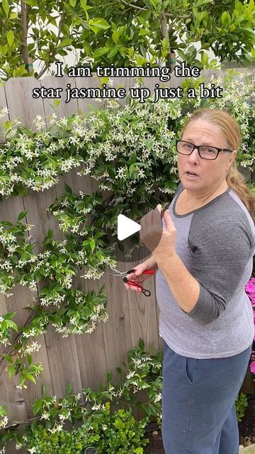 Monique Windschitl on Instagram: "Trimming up the star jasmine espalier/trellis.  This will take some of the weight off and reshape it up a bit.  I am still leaving most of the fragrance blooms. Has anyone started their espalier yet?  And THAT’S just how I do IT!  #tradwife #homeandgarden #athomewithmo #garden #gardener #gardenlover #at_home_with_mo #starjasmine #trellis #espalier #gardening #plants #flowers #armstronggarden #fyp #creator #asmr #foryourpage" Evergreen Jasmine Climber, Chinese Star Jasmine Trellis, Espalier Star Jasmine, Star Jasmine Espalier, Star Of Jasmine Trellis, Jasmin Pergola, Jasmine Star Plant, Jasmine On House, Jasmin Trellis Ideas