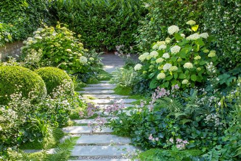 Optical illusion: clever tricks to help make a long, narrow London garden into a lush, planted paradise | Homes and Property | Evening Standard Fast Growing Flowers, Sedum Roof, Small City Garden, Architectural Plants, Narrow Garden, London Garden, Garden Maintenance, City Garden, Small Garden Design